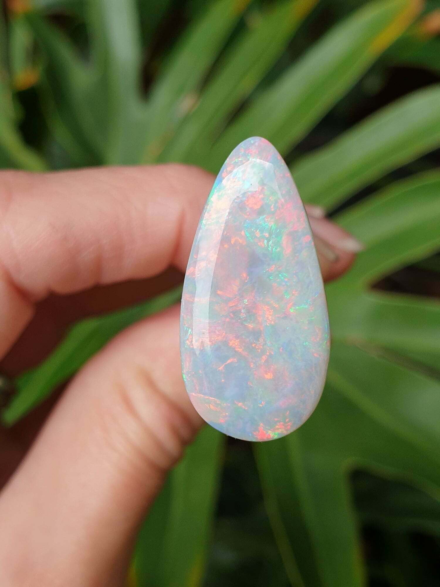 9.86ct Black Opal - Image 3